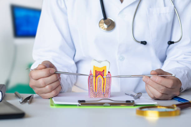 Best Emergency Root Canal Therapy in Jonesborough, TN